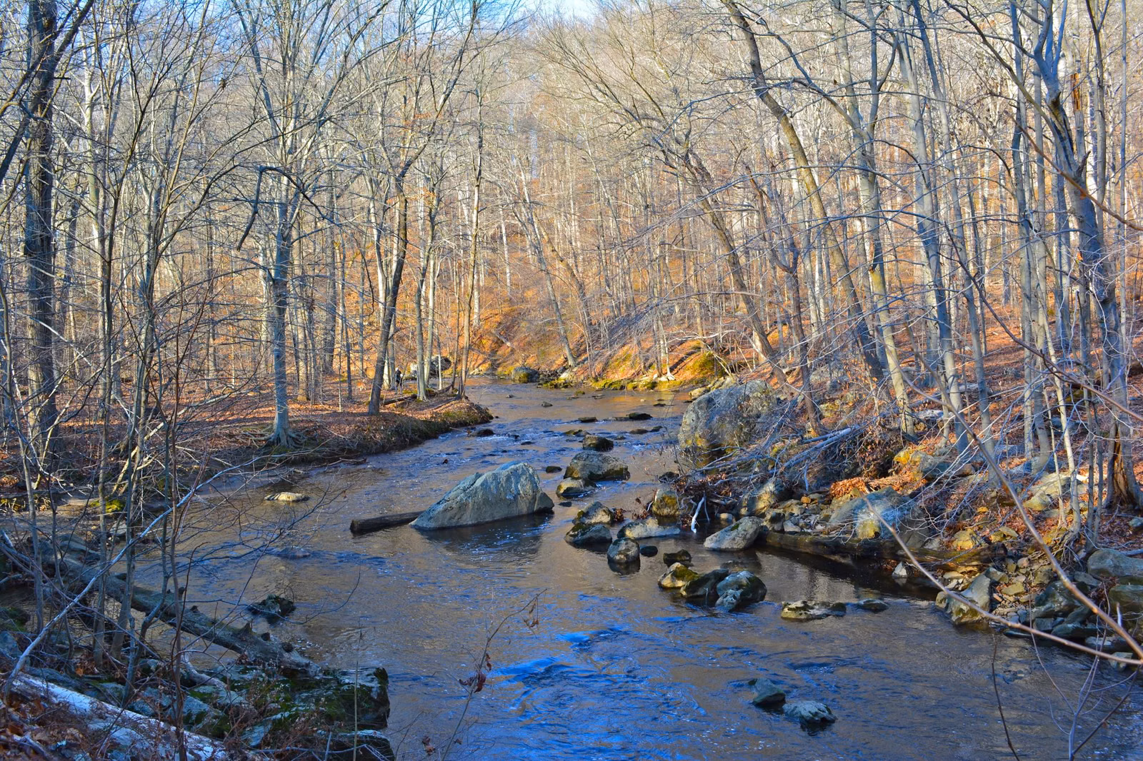 Ridley Creek flowing over rocks through bare late-autumn woods in Ridley Creek State Park